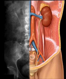 Best Endo-Uro-Laser Surgery in Begur